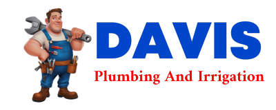 Trusted plumber in HEMPHILL